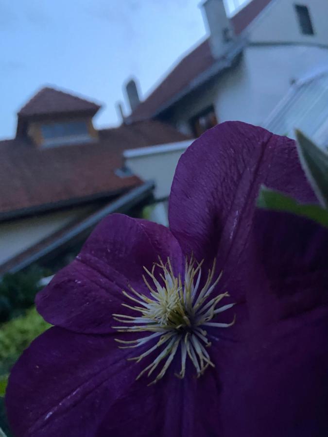 Gasthof Zum Mohrn Oberwoelz Stadt 외부 사진